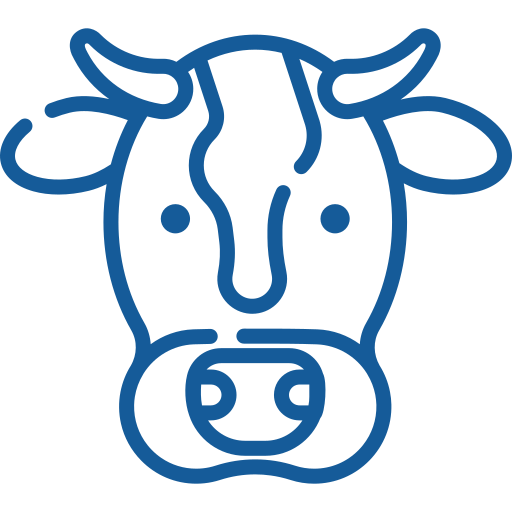 Imagem Bovinocultura